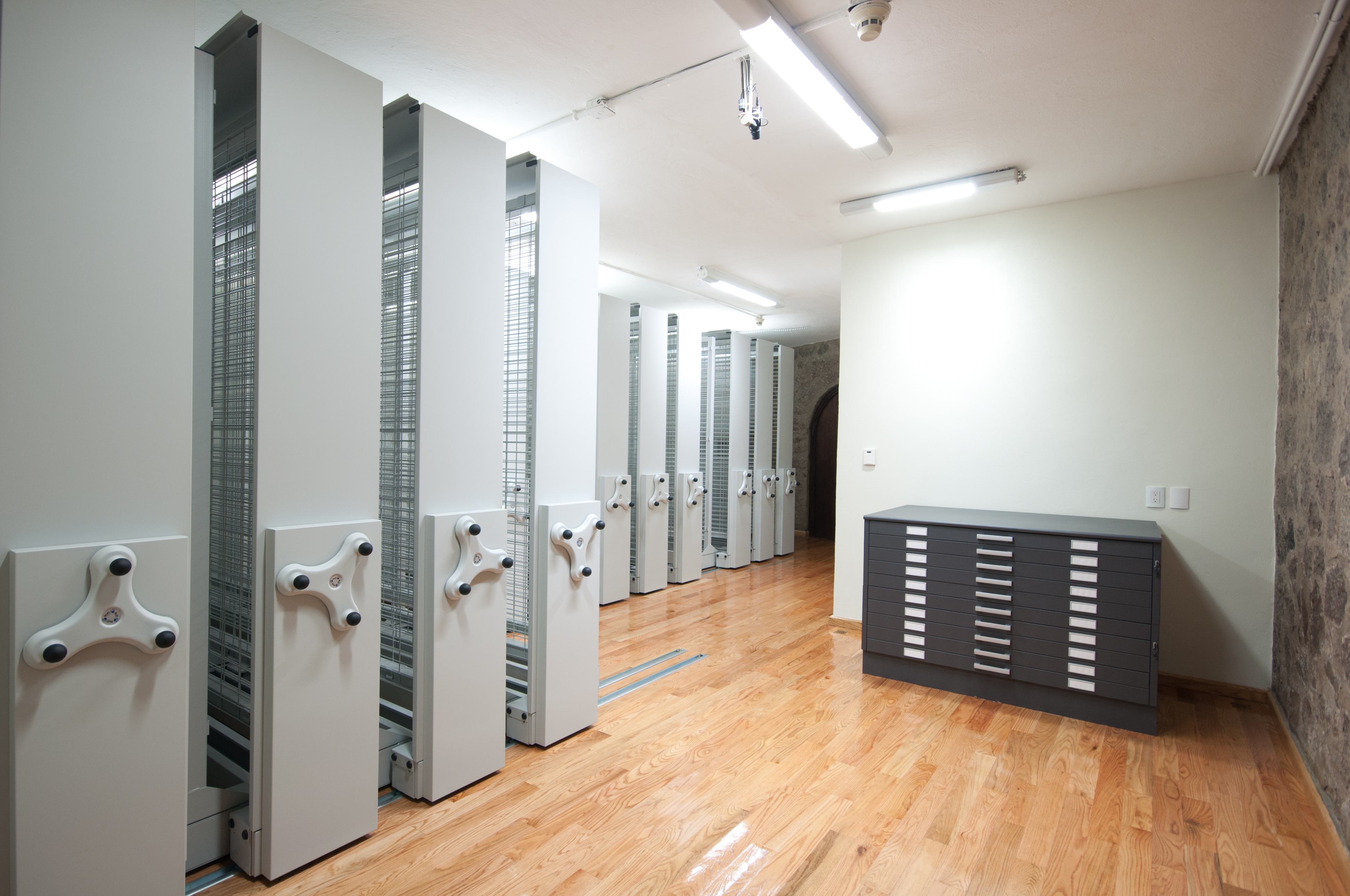 dolores-olmedo-hi-res-01