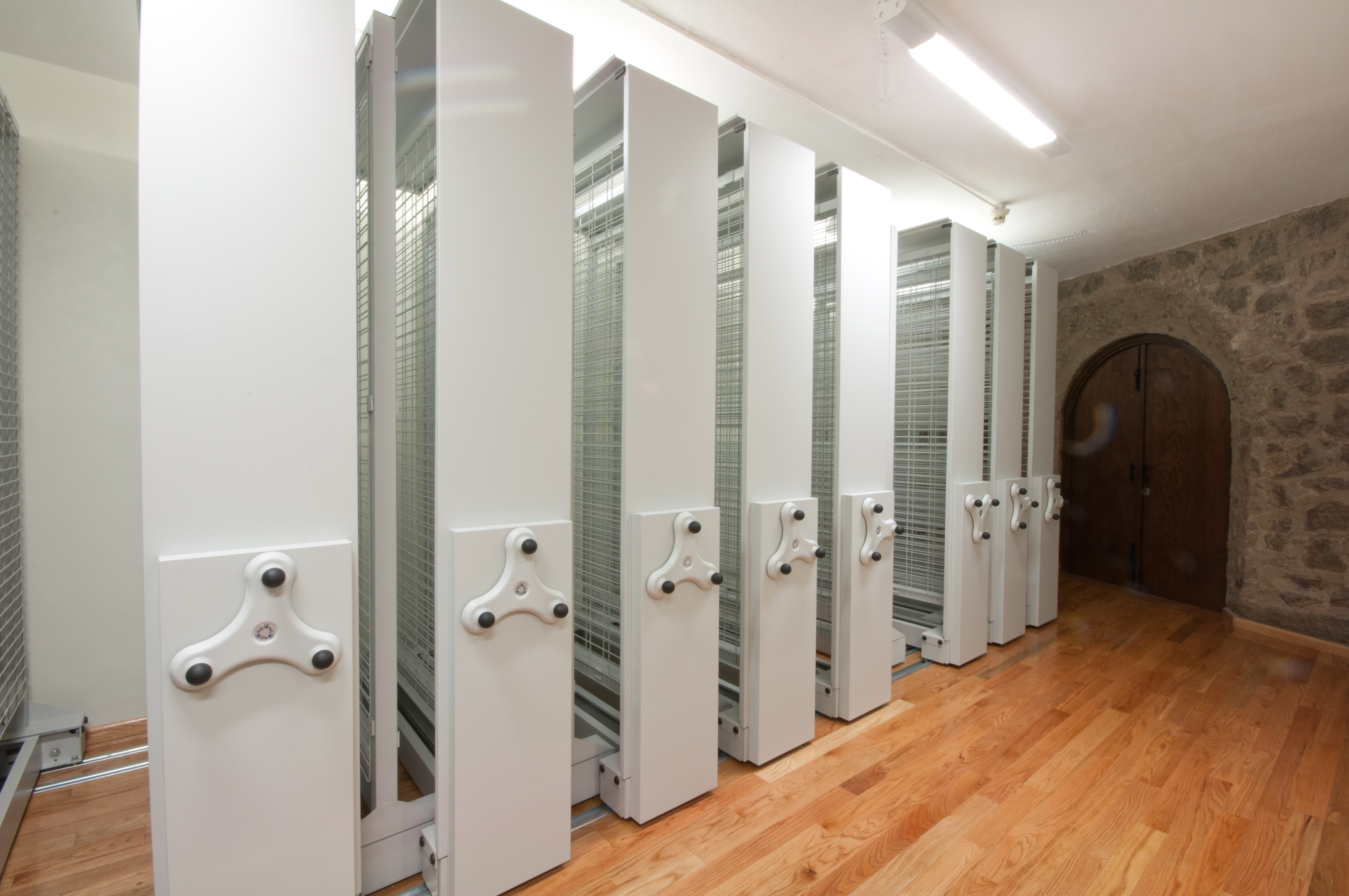 dolores-olmedo-hi-res-03